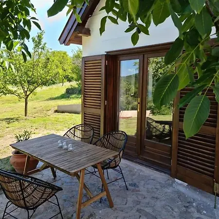 Holiday home Bencze Pincze Birtok