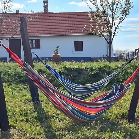 Bencze Pincze Birtok Holiday home