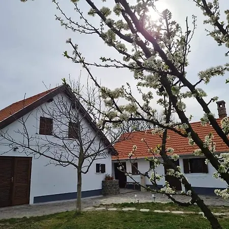 Bencze Pincze Birtok