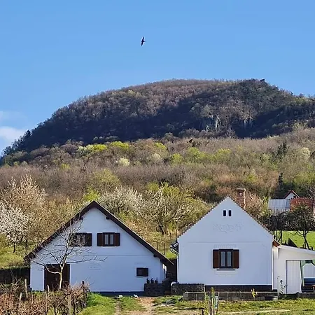 Bencze Pincze Birtok Holiday home