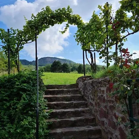 Bencze Pincze Birtok Holiday home